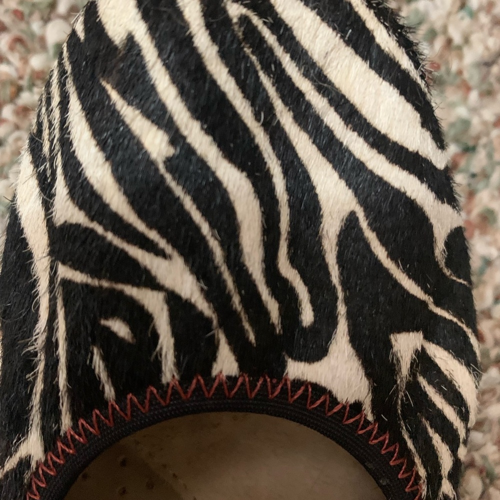 Zebra calf hair. Hush puppies animal print, fur.